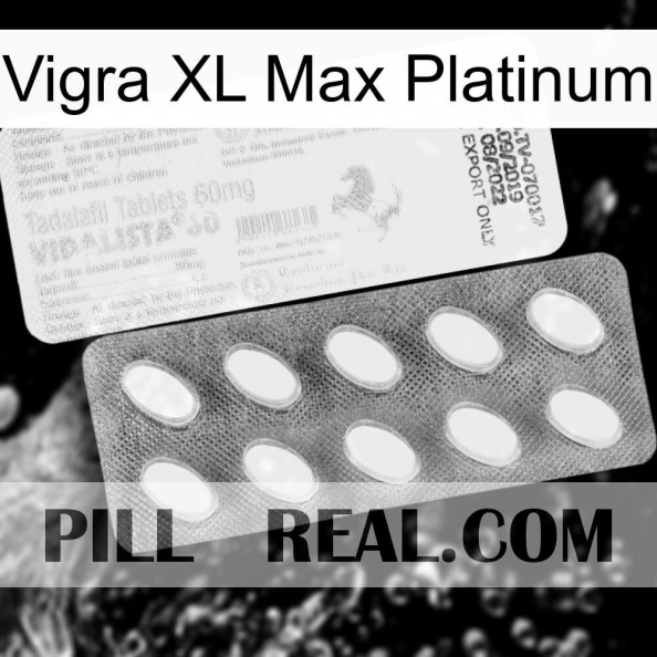 Vigra Xl Max Platinum new05.jpg